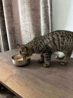 Load image into Gallery viewer, Kitten Food