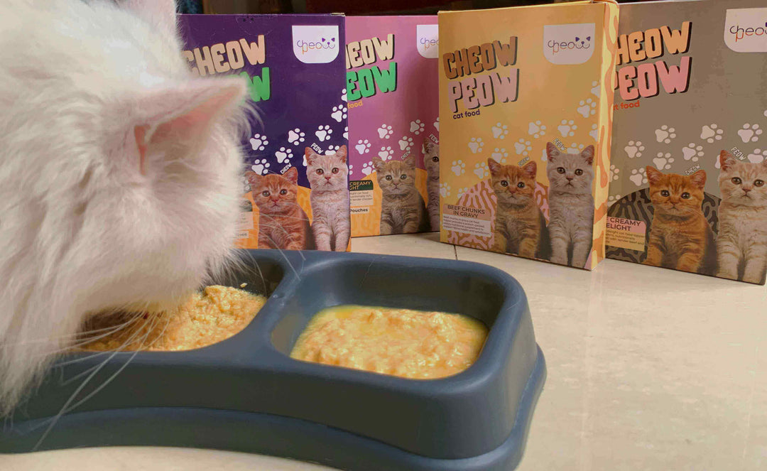 Cat Food (Chunks & Creamy: Chicken, Beef, Fish)