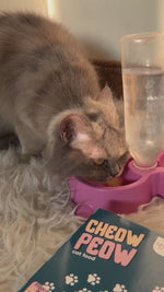 Load and play video in Gallery viewer, Cat Eating Cheow Peow Chunks in Gravy